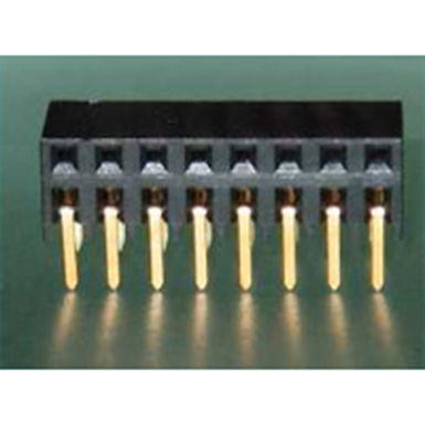 Buchsenleiste B254.120 (deutsche Fertigung)