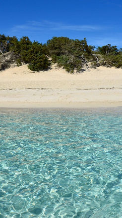 Punta Prosciutto beach