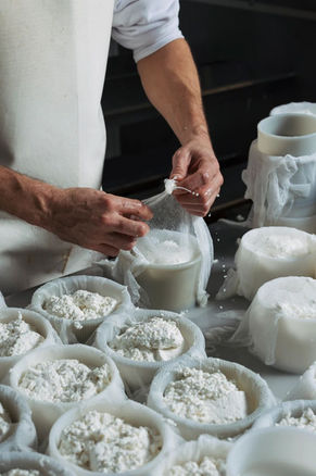 Dairy tour