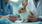 Essential Tips for Keeping Your Rabbit Healthy