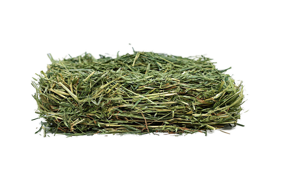 Thumbnail: Premium Oat Hay