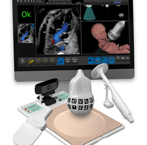 cropped SCRN SHOT probes pad monitor - Copy.png