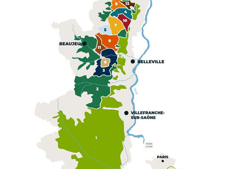 Les 12 appellations du Beaujolais
