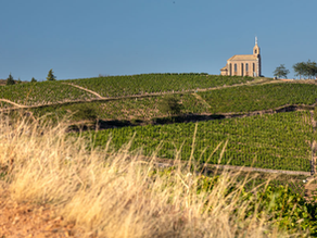 Fleurie: a guide to the Beaujolais cru, its wines and terroir