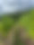 Vignes dans le Beaujolais