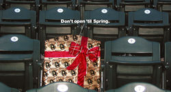 River Cats Direct Mail Front