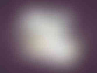 Clare Mailer Mock2.jpg