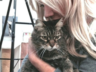 Minou is my special rescue kitty...