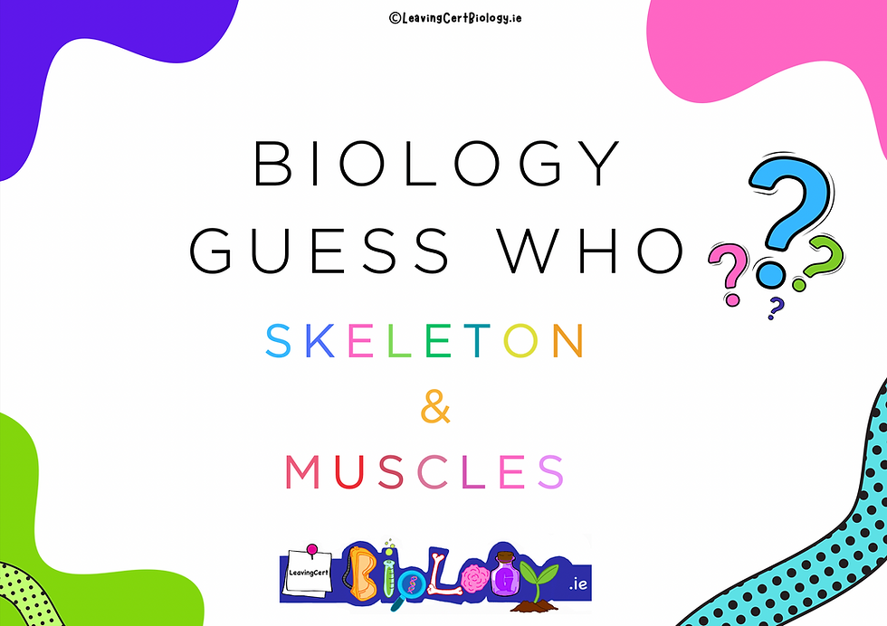 Biology Guess Who: Skeleton and Muscles!