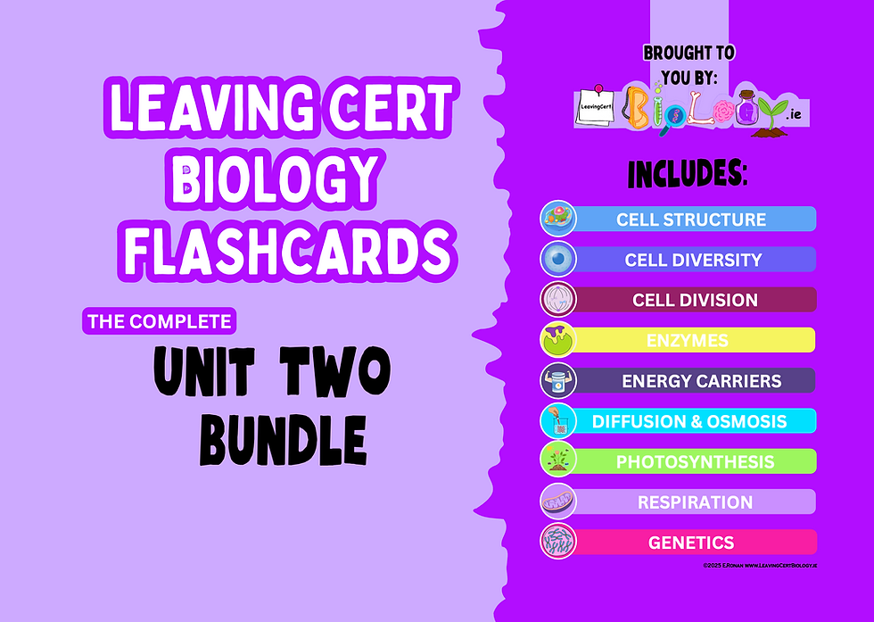 Unit 2 6th Year Biology Flashcards