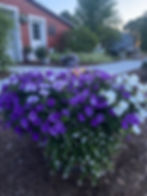 Garden venue near Fargo, Detroit Lakes