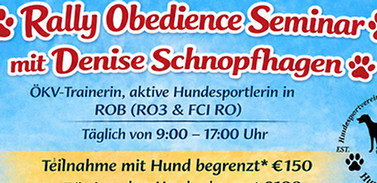 ROB Seminar Juli 2026_edited.jpg