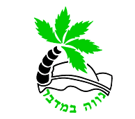 ביה''ס נווה במדבר מרסלו קומיקס