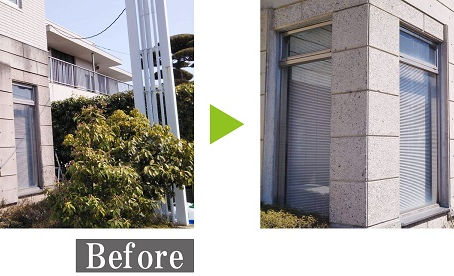 【洗浄豆知識】コンクリートのカビ取り編