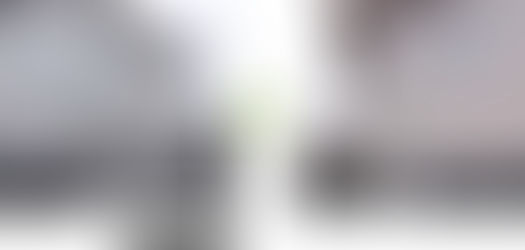 【洗浄豆知識】住宅外壁のカビ取り