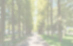 couse2-img1-3_edited.jpg