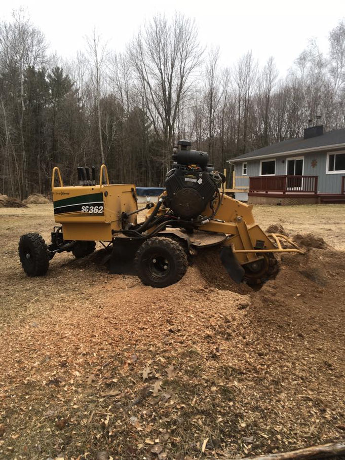 Stump Grinding And Removal In Sobieski, Wisconsin