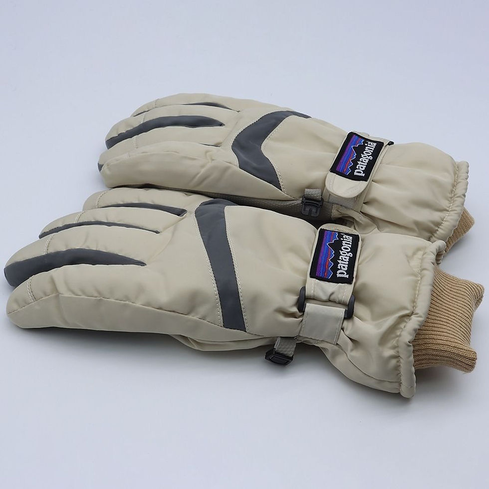 Миниатюра: Patagonia gloves