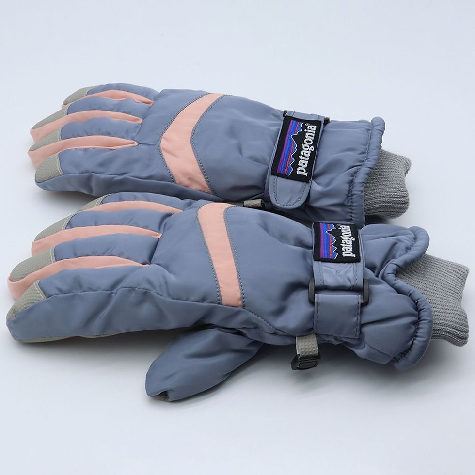 Thumbnail: Patagonia gloves