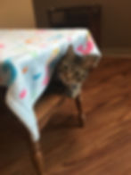 Fun Places to Hide