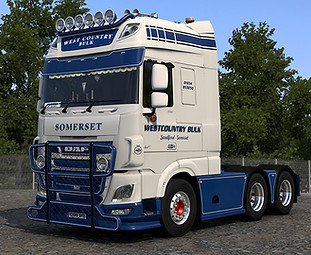 DAF E6_Westcountry Bulk_speedy143.jpg