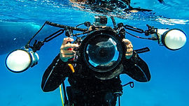 Dive photographer
