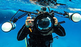 Dive photographer
