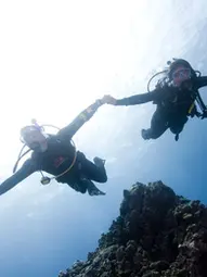 DRIFT DIVER