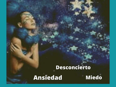 VULNERABILIDAD