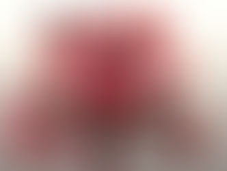 Somos lo que Sentimos