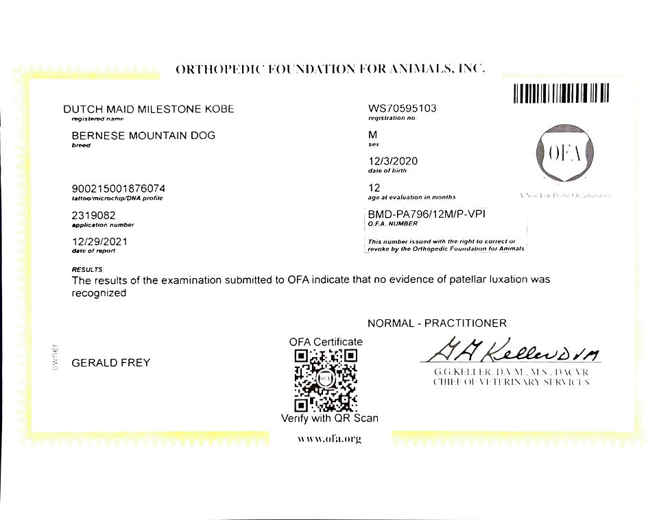 Patellar Luxation OFA