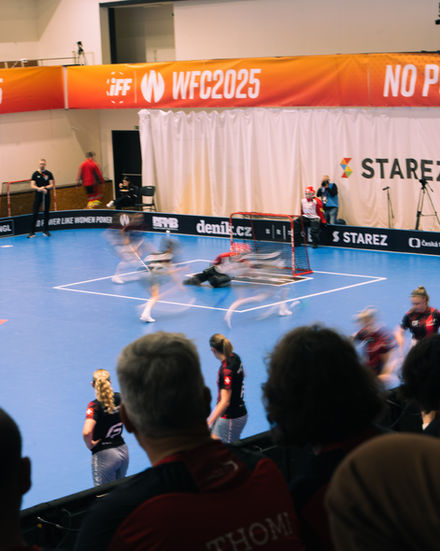 Spiel_vs_Dänemark-11.jpg