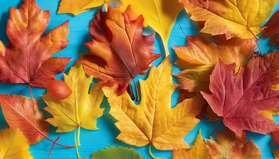 Autumn Adventure Sensory Play