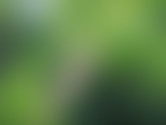 Backed by Science: 7 Most Powerful Medicinal Plants And Herbs