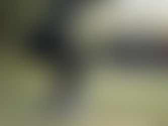 How to Preserve Muscle Mass and Stay Strong as You Age