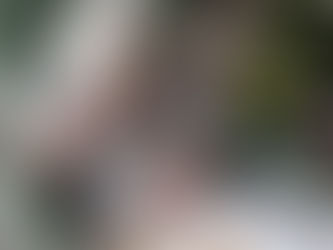 5 Factors To Consider When Moving Into A Senior Living Facility