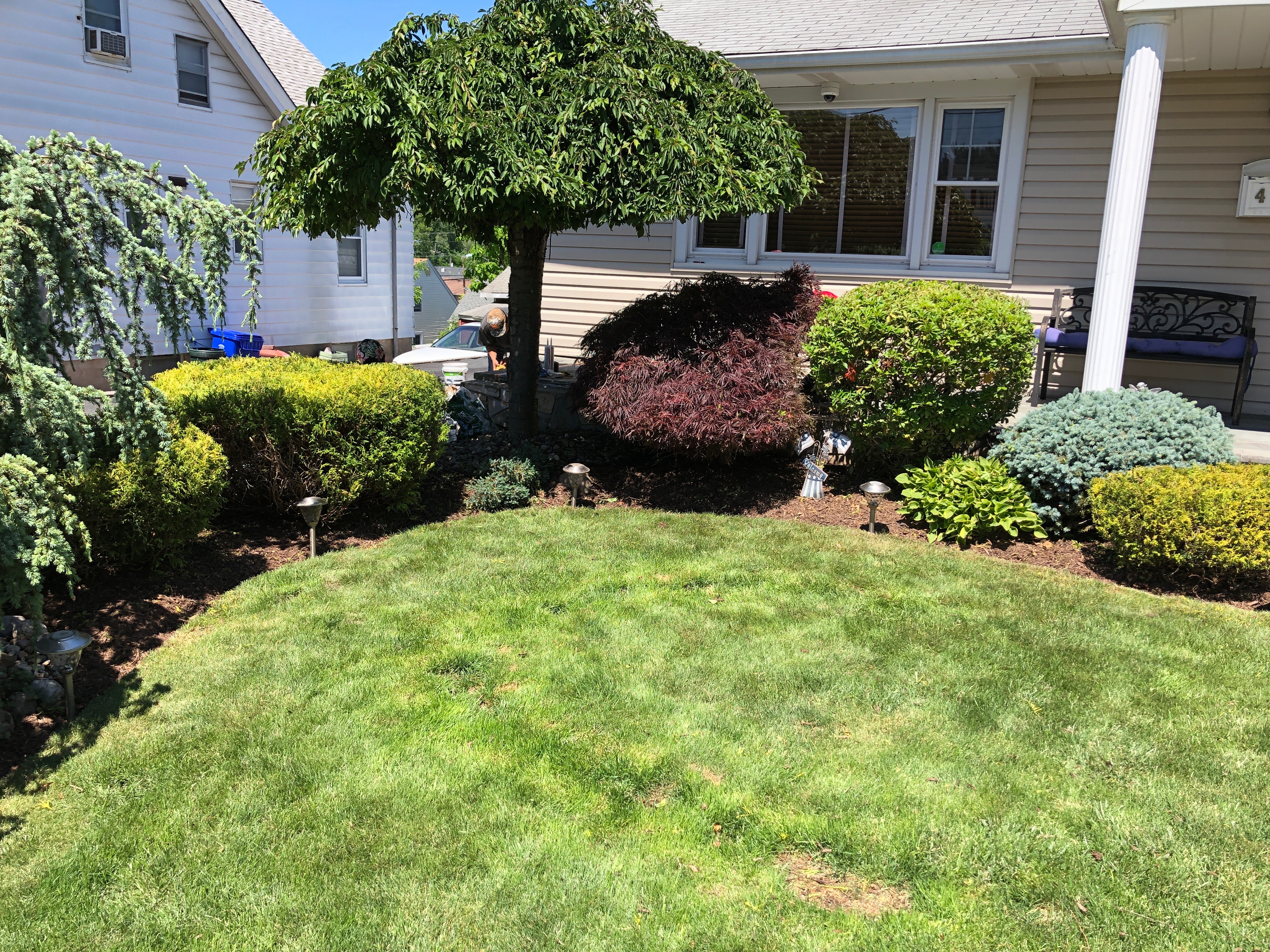 Rojas Lawn Maintenance