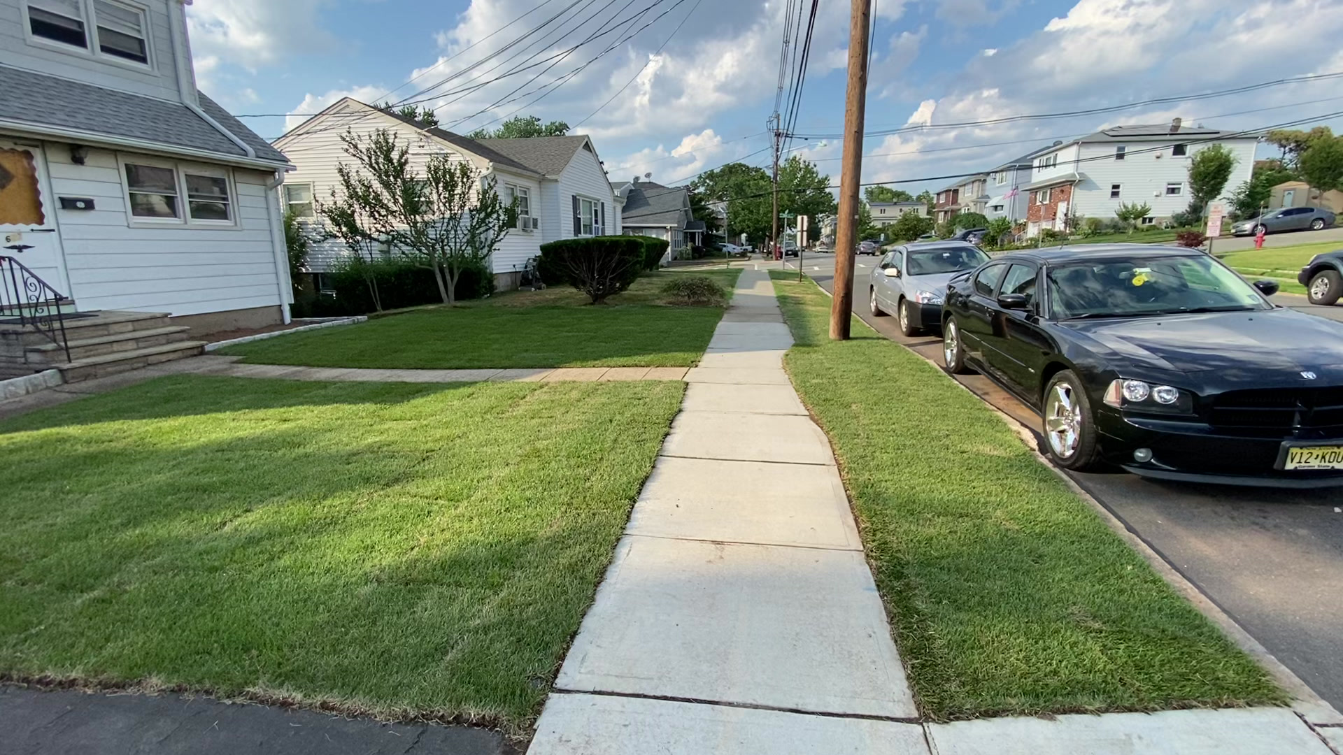 Rojas Lawn Maintenance work 1