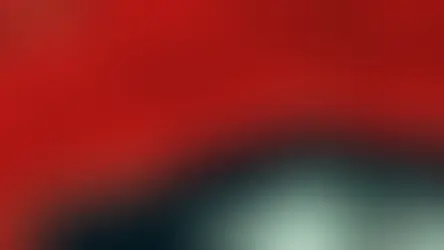 Plano de Manejo do PERB