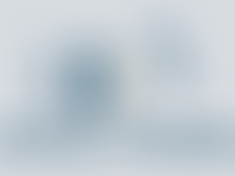 Sample lesson: Social Studies (for secondary school students)