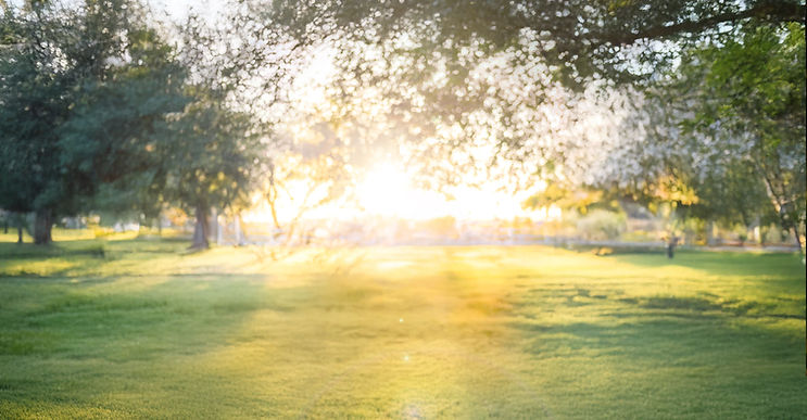 Maternity photography session at Floyd Lamb Park in Las Vegas by H&K Photography & Film, capturing expecting parents in a beautiful natural setting with lush greenery, scenic paths, and tranquil lake views. Professional photography includes intimate portraits, candid interactions, and creative compositions that highlight the love, joy, and anticipation of welcoming a new family member. Celebrate life’s most precious moments with H&K in Las Vegas, from maternity sessions to newborn portraits, capturing the beauty and emotion of growing families. Browse our portfolio featuring stunning locations like Calico Basin, Floyd Lamb Park, and Craig Ranch Park, where every session tells a unique story and preserves timeless memories in a luxurious, artistic style.