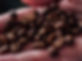 low-0733.jpg