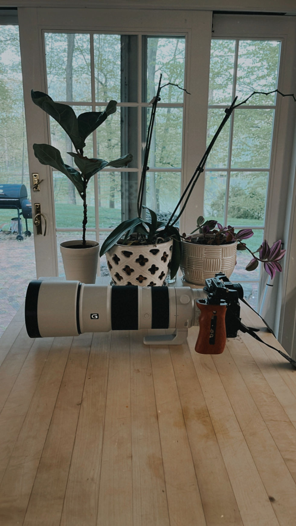 giant lens for bird watching during the biggest week