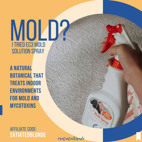 EC3 Mold Solution Spray: All The Places I've Tried It!