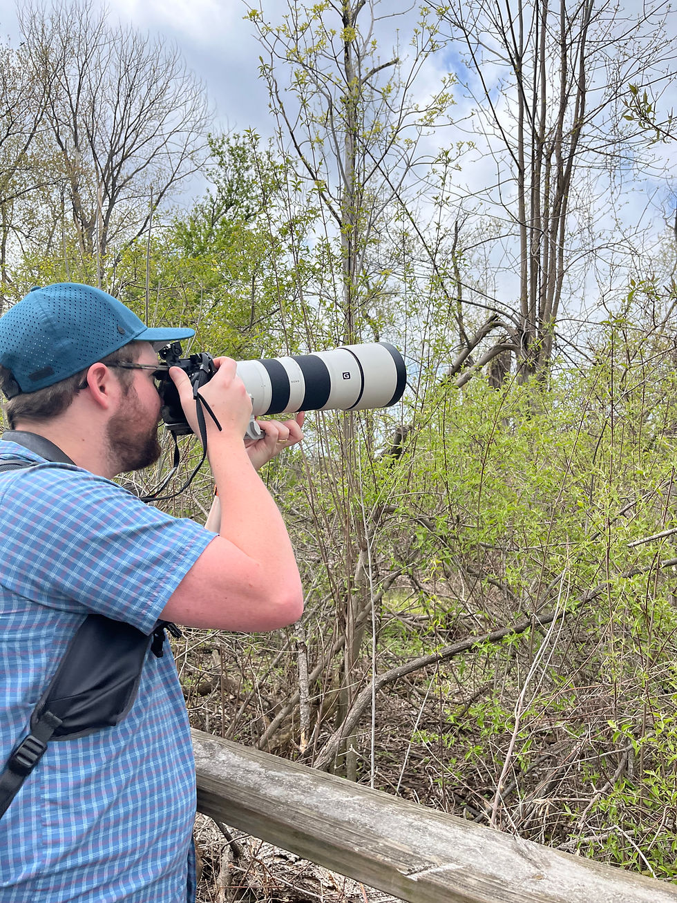 bird watching during the biggest week at McGee Marsh
