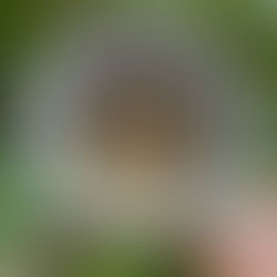 Iced Coffee In The Winter: A Cautionary Tale