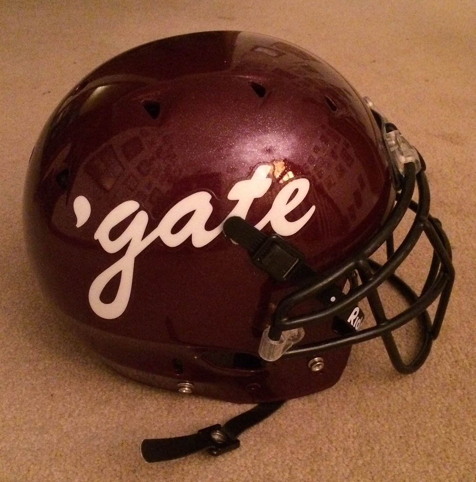 2008Helmet.jpg