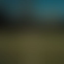 Livia standing in the middle of a tennis court for the I TOLD YA! singla artwork