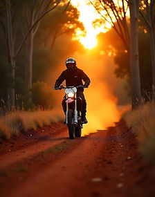 solo-rider-800.jpeg