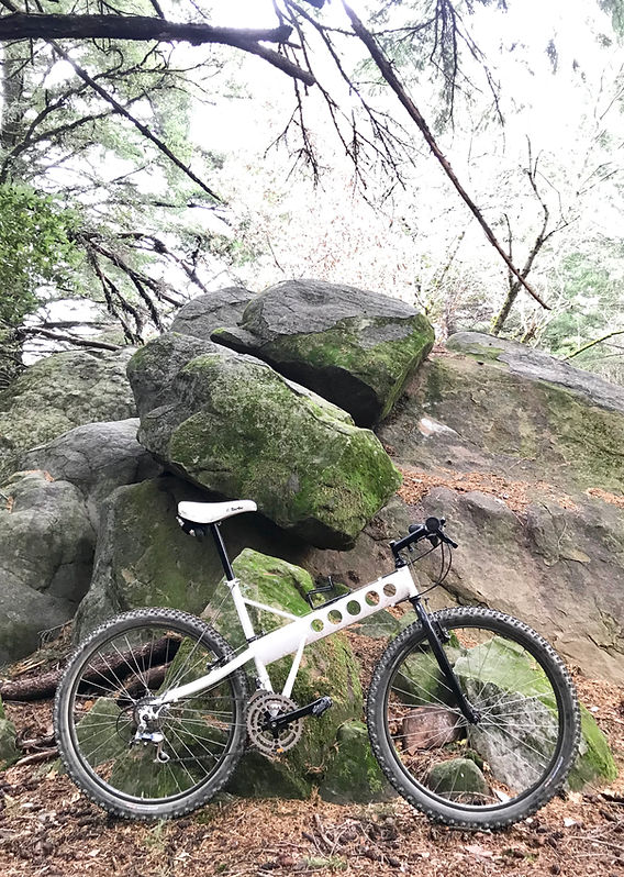 exceed mountainbike Canyon CF 5 29 inch mountain bike Refurbished Used bike – H&B Exclusive Handlebar Type_ and rapid Nagellack Organizer Tasche, 3-Lagen Color:Nebula Pro Vista BK